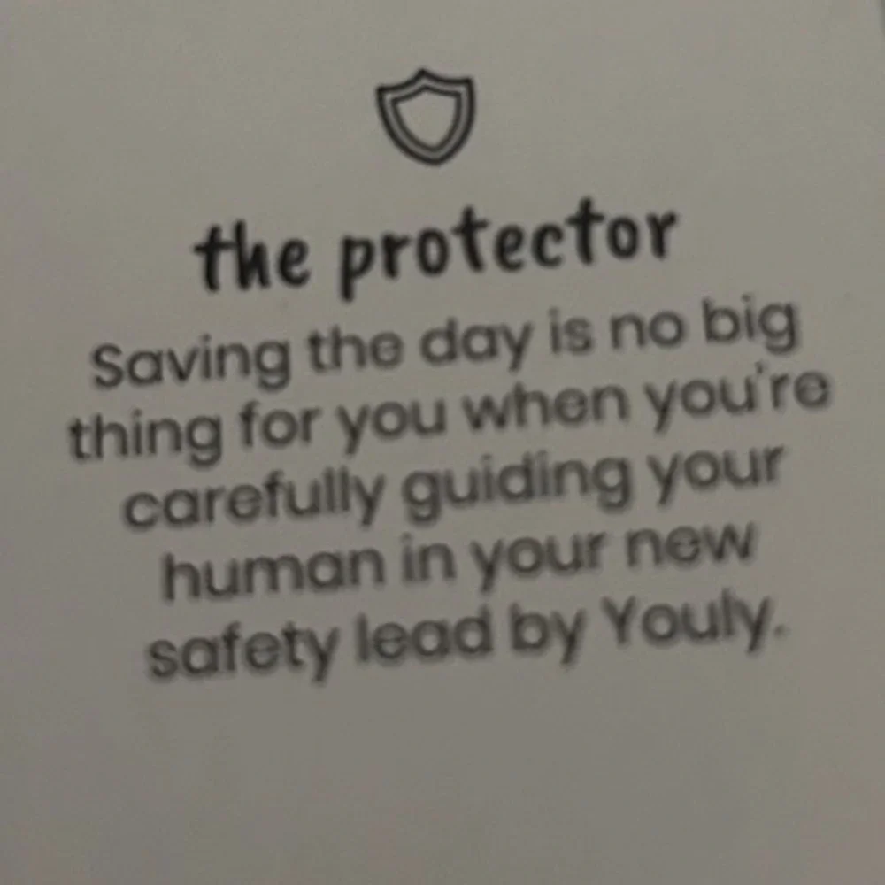 YOULY NEW The Protector 6 Ft Orange Reflective Neoprene Padded Handle Dog Lead